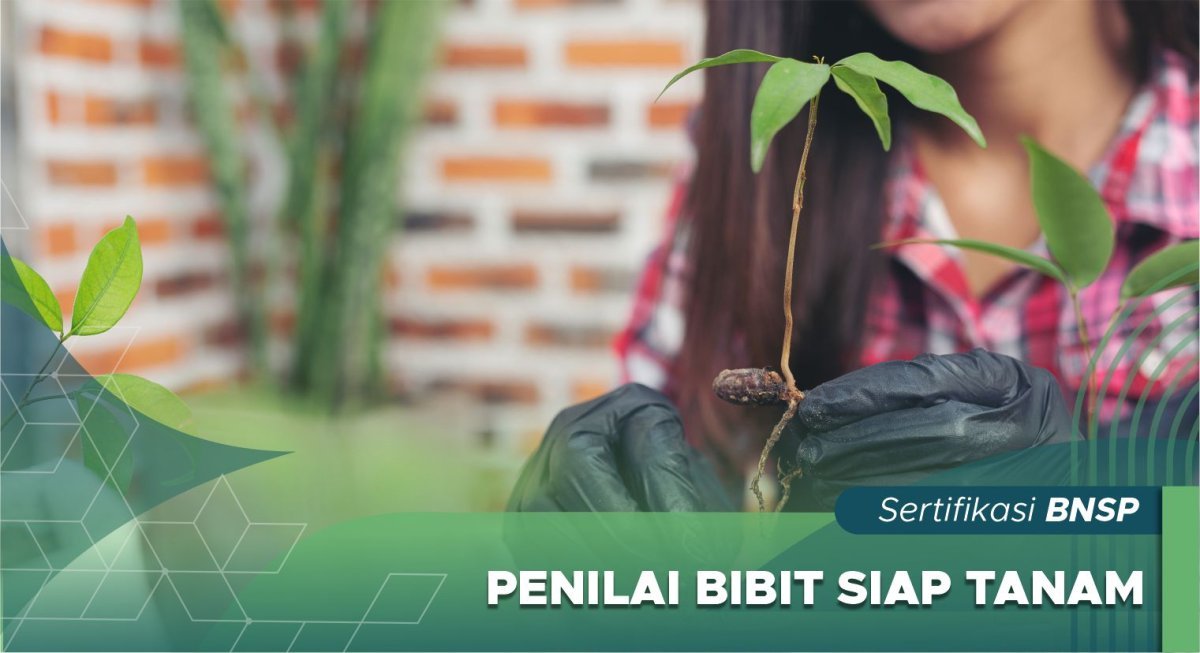 Penilai Bibit Siap Tanam
